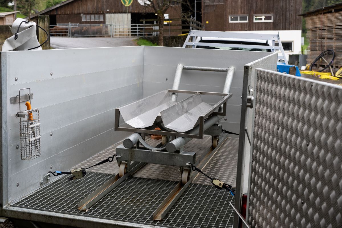 T-Trailer mit Wannen für Schweine.