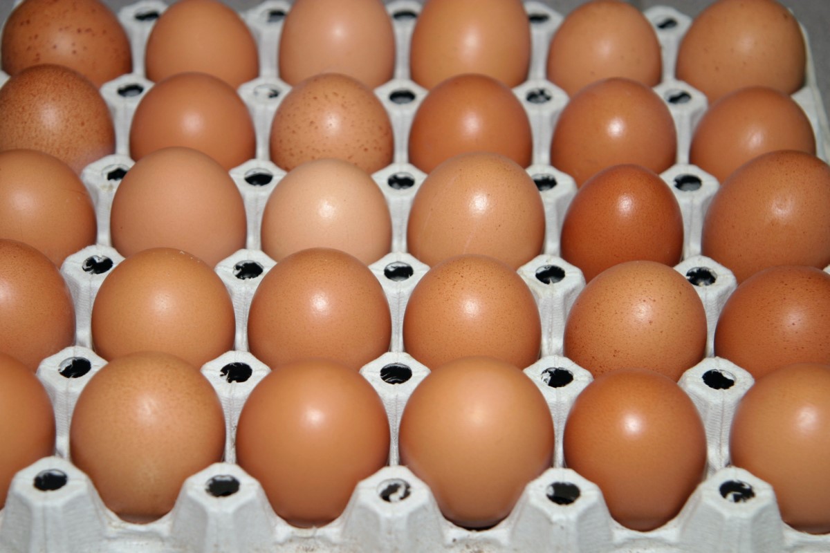 ein Karton Eier