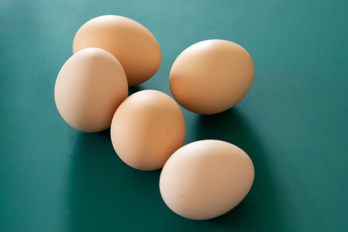 Fünf ganze, helle Eier liegen auf einem grünen Untergrund. 