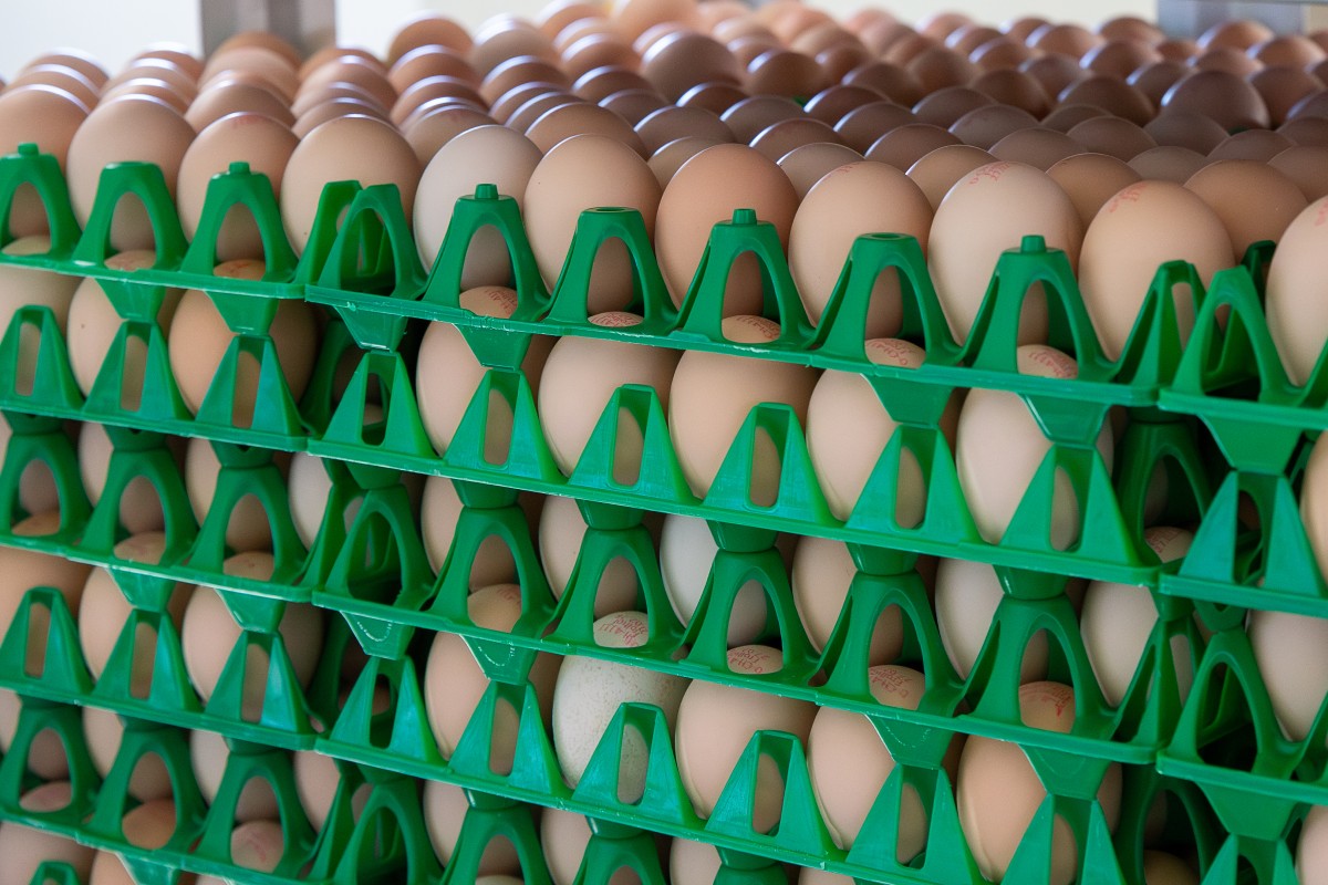 Mehrere Stiegen enthalten viele beigefarbene Eier. 