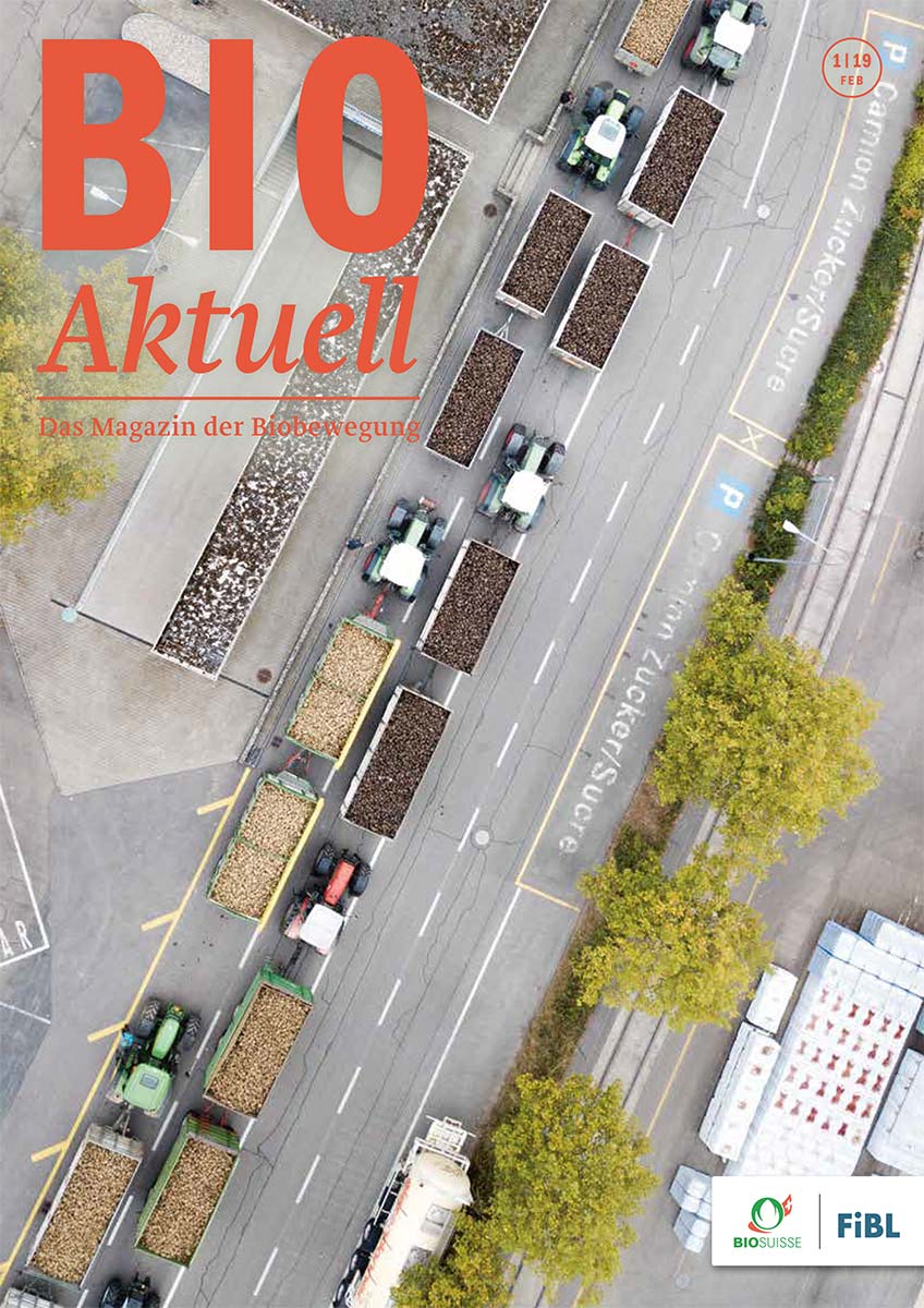 Titelseite Bioaktuell 1|2019, Traktoren mit je zwei Anhängern mit Zuckerrüben von oben